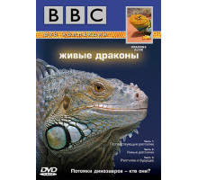 BBC: Живые драконы