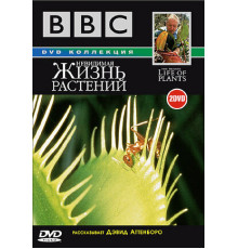 BBC: Невидимая жизнь растений