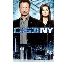 CSI: Место преступления Нью-Йорк