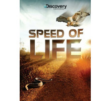 Discovery: Скорость жизни