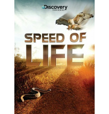 Discovery: Скорость жизни