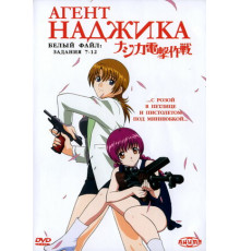 Агент Наджика