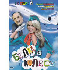 Белка в колесе