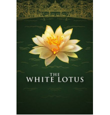 Белый лотос