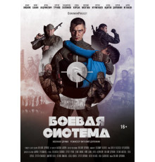 Боевая система