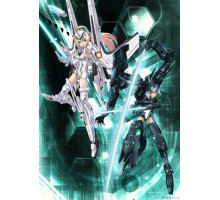 Боевые Шинки