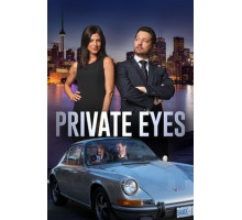 Частные сыщики