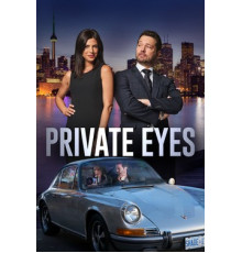 Частные сыщики