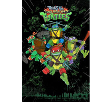 Черепашки-ниндзя: Истории