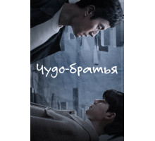 Чудо-братья