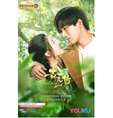 Чудо-целитель