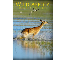 Дикая Африка: Реки жизни