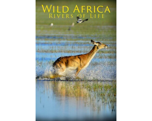 Дикая Африка: Реки жизни смотреть онлайн
