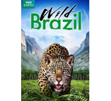 Дикая Бразилия