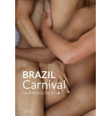 Дикая Бразилия (2016)