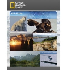 Дикая природа России