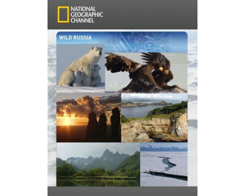 Дикая природа России смотреть онлайн