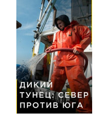 Дикий тунец: Север против Юга