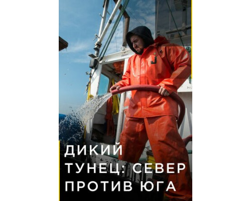 Дикий тунец: Север против Юга смотреть онлайн