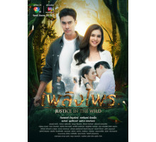 Дикое правосудие