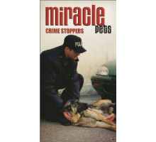 Эти чудесные животные