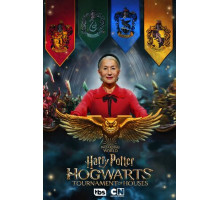 Гарри Поттер: Турнир факультетов Хогвартса