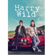 Гарри Уайлд