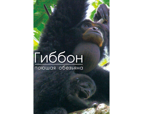 Гиббон — поющая обезьяна смотреть онлайн