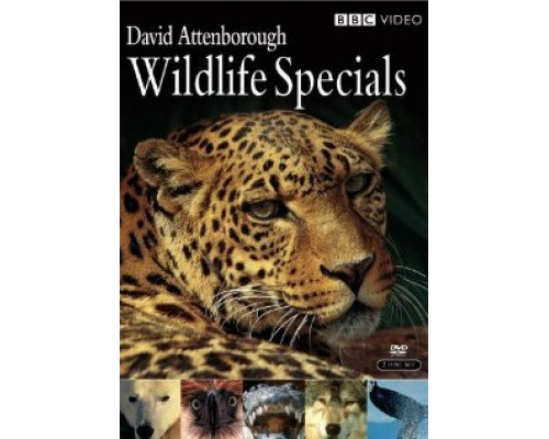 Живая природа: Специальные выпуски смотреть онлайн