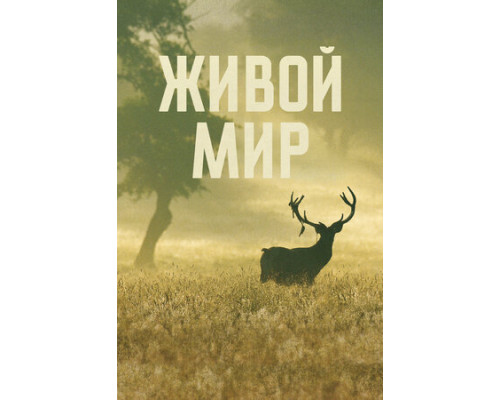 Живой мир смотреть онлайн