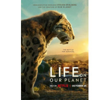 Жизнь на нашей планете