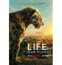 Жизнь на нашей планете