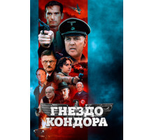 Гнездо кондора