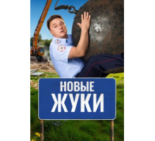 Жуки