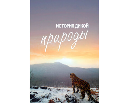 История дикой природы смотреть онлайн