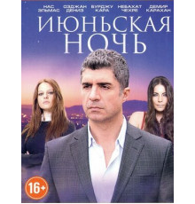 Июньская ночь