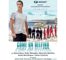 Как дельфин