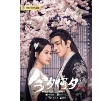 Какая сегодня ночь!