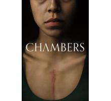 Камеры моего сердца