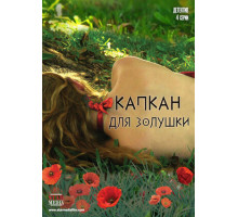 Капкан для Золушки