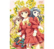 Касимаси: Девушка встречает девушку