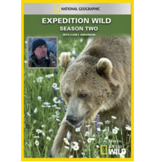 Кейси и Брут: В мире медведей