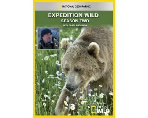 Кейси и Брут: В мире медведей смотреть онлайн