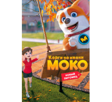 Корги по имени Моко. Новый питомец