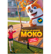 Корги по имени Моко. Новый питомец