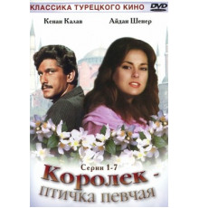 Королёк – птичка певчая