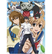 Кошачьи прихоти!