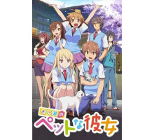 Кошечка из «Сакурасо»