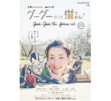 Кот по имени Гу-Гу