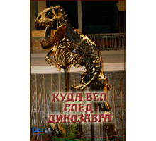 Куда вел след динозавра